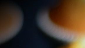 muffins-congerdesign en Pixabay