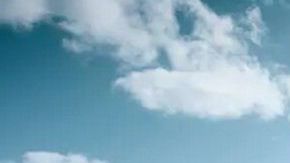 Ford Mustang Mach-E.
Crédito: Cortesía Ford.