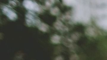 Los hombres más románticos del zodiaco.