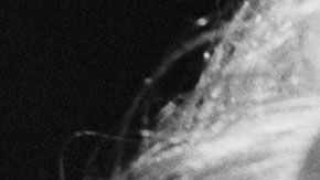 Crean ojo artificial