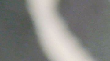 Recuerda que completar el formulario online es fácil.