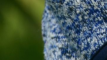 En la jardinería, los niños adquieren un sentido de responsabilidad y propiedad.