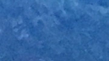 NYPD vigilando parque en Queens