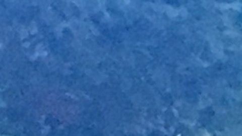 NYPD vigilando parque en Queens