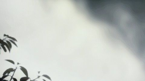 La historia de Moose conmueve a más de 140 mil usuarios de Instagram.