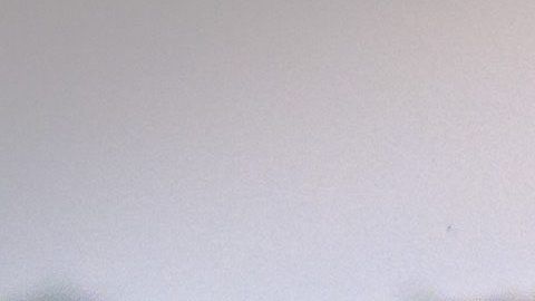 El elefante se ha vuelto un atractivo turístico.