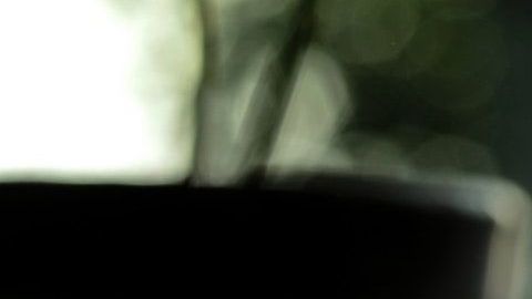 El ajo posee interesantes poderes esotéricos.