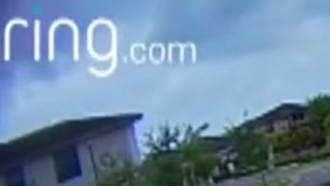 El auto, que impactó contra la piscina, atravesó todo el jardín.