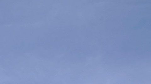 Muestran de forma general del flujo de trabajo necesario en la producción de una película animada.