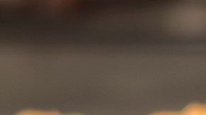 No te quedes con el antojo, sólo escoge sabiamente qué pizza vas a pedir.