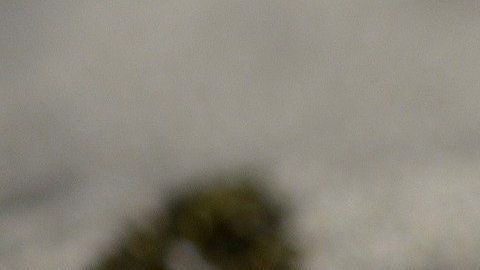 La tierra puede servirnos para adivinar el futuro.