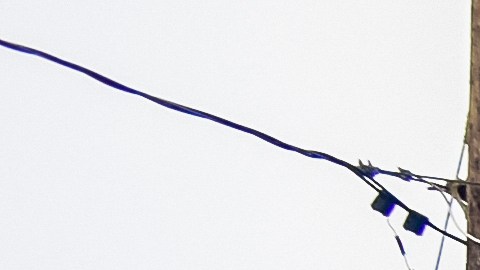 Policía de Nassau, Long Island (NY).