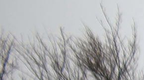 Las autoridades cerraron temporalmente la Ruta 25