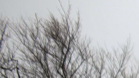 Las autoridades cerraron temporalmente la Ruta 25