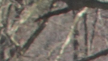 El inmigrante asegura que la Policía de Suffolk lo mantuvo detenido a pesar de pagar su fianza.