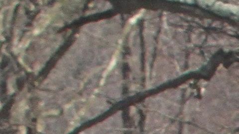 El inmigrante asegura que la Policía de Suffolk lo mantuvo detenido a pesar de pagar su fianza.