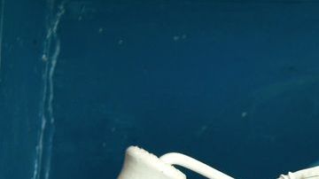 Remolacha-betabel-pxhere (2)