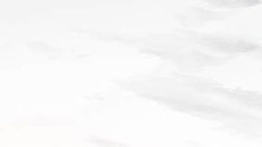 Tesla Roadster.
Crédito: Cortesía Roadster.