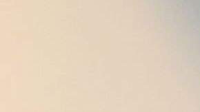 Sandra Bullock, ganadora del Óscar.