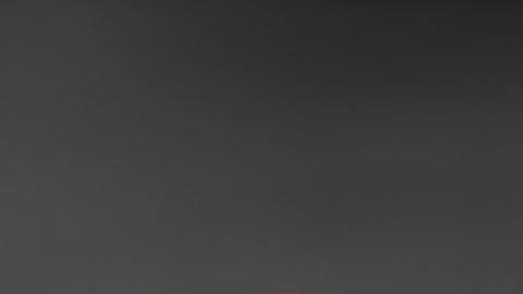 Cada signo tiene un postre preferido.