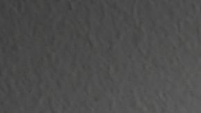 La mujer golpeó brutalmente en la cabeza al perro.