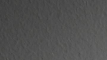 La mujer golpeó brutalmente en la cabeza al perro.