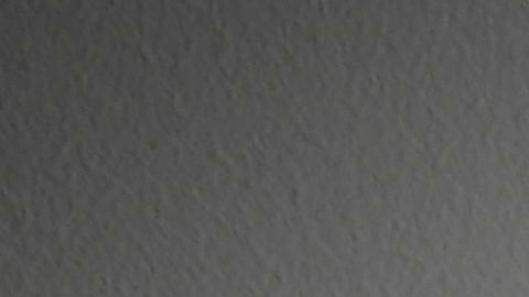 La mujer golpeó brutalmente en la cabeza al perro.