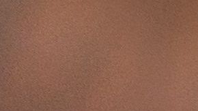 ¿Qué tan seguro es consumirlos?