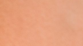 Tés desintoxicantes para bajar de peso.