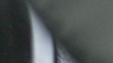 El bluetooth del auto fue su peor enemigo.