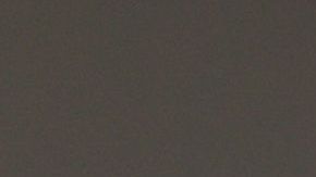 Lo mejor es no comer nada crudo.