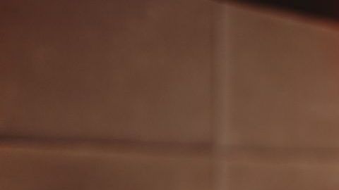 shutterstock_1043256988