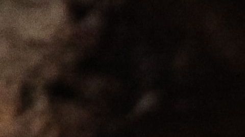 El ladrón quería recordar su fechoría así para siempre.