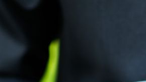 shutterstock_110146178