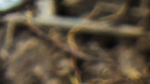 Con lo que tenía, el pequeño echó a volar su imaginación, creando algo fantástico.