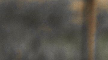 El pequeño fue a un lago con la ilusión de pescar, sin pensar lo que descubriría.