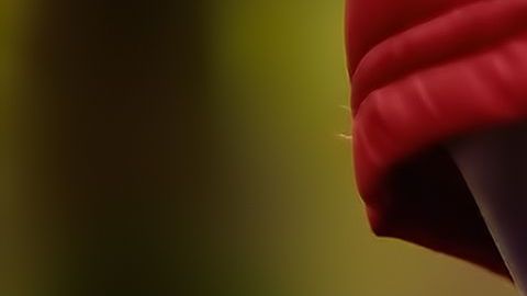 Leah se casó con Daniel y a los pocos meses empezó a trabajar como niñera.