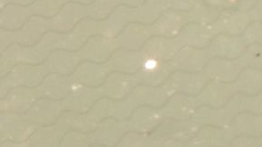 shutterstock_1403679386