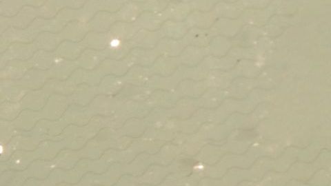 shutterstock_1403679386