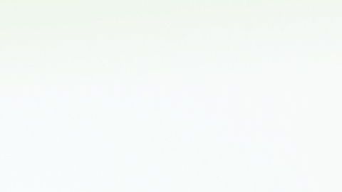 Solo el 3% de la población, a nivel mundial, es alérgico a la picadura de este insecto.