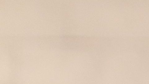 shutterstock_1541057543