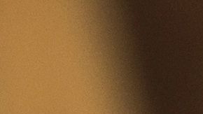 Además de no dañar tu cuero cabelludo, es económico y práctico.