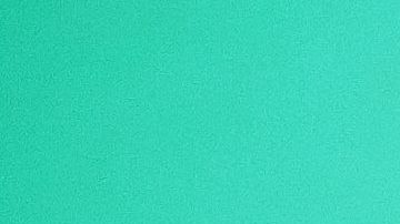 shutterstock_1686560989