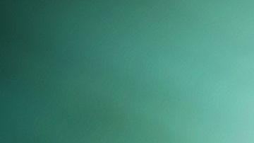 Uno de los peleadores se llevó la peor parte.