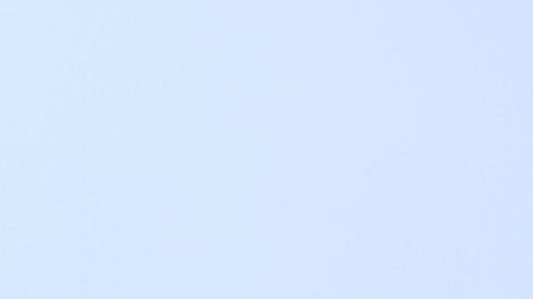 dientes ortodoncia férula