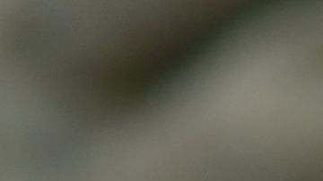 El video de esta persona cantando ha trascendido fronteras.