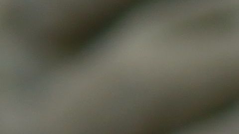 El video de esta persona cantando ha trascendido fronteras.