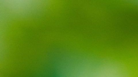 parálisis cerebral infantil