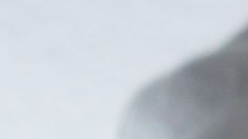 La mujer le dio a beber una mezcla de medicamentos y raticida.