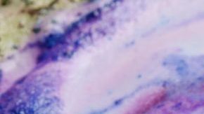 shutterstock_577392670